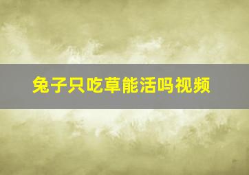 兔子只吃草能活吗视频