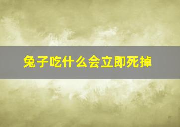 兔子吃什么会立即死掉