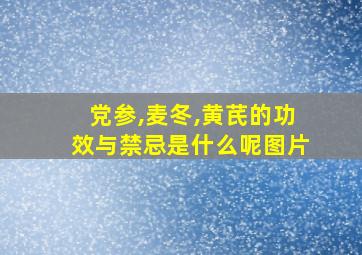 党参,麦冬,黄芪的功效与禁忌是什么呢图片