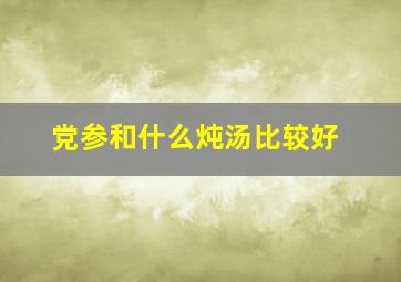 党参和什么炖汤比较好