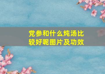 党参和什么炖汤比较好呢图片及功效