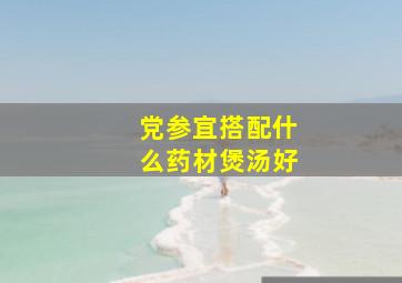 党参宜搭配什么药材煲汤好