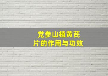 党参山植黄芪片的作用与功效