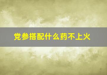 党参搭配什么药不上火