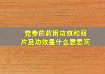 党参的药用功效和图片及功效是什么意思啊