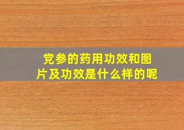 党参的药用功效和图片及功效是什么样的呢