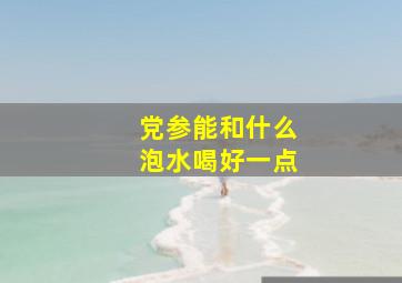 党参能和什么泡水喝好一点