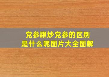 党参跟炒党参的区别是什么呢图片大全图解