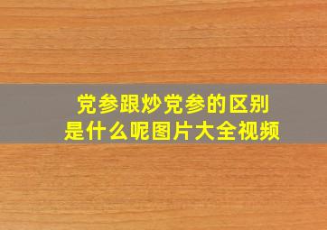 党参跟炒党参的区别是什么呢图片大全视频