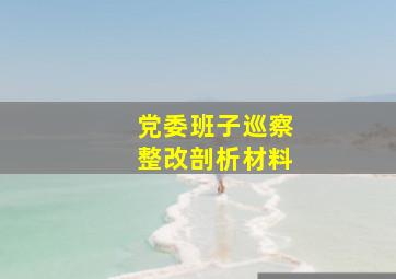 党委班子巡察整改剖析材料