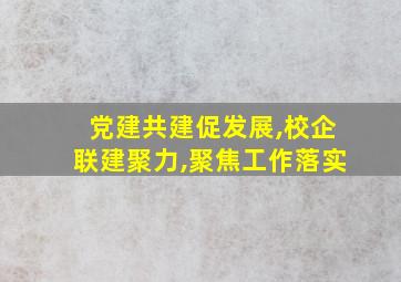 党建共建促发展,校企联建聚力,聚焦工作落实