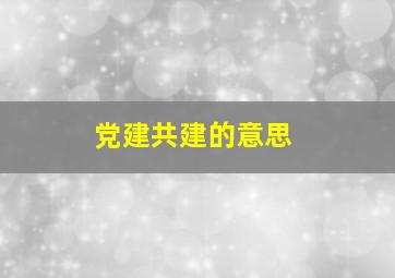 党建共建的意思