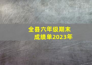 全县六年级期末成绩单2023年