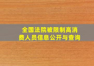 全国法院被限制高消费人员信息公开与查询