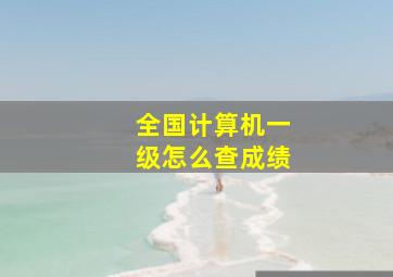 全国计算机一级怎么查成绩