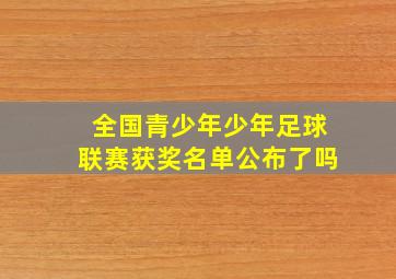 全国青少年少年足球联赛获奖名单公布了吗