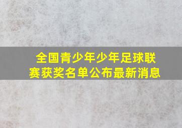 全国青少年少年足球联赛获奖名单公布最新消息