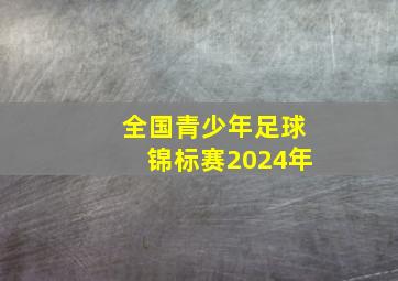 全国青少年足球锦标赛2024年