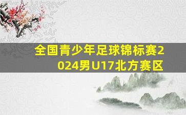 全国青少年足球锦标赛2024男U17北方赛区