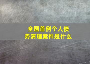 全国首例个人债务清理案件是什么