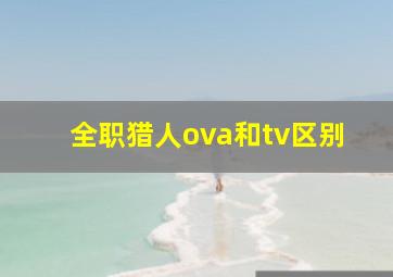 全职猎人ova和tv区别