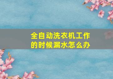 全自动洗衣机工作的时候漏水怎么办