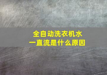 全自动洗衣机水一直流是什么原因