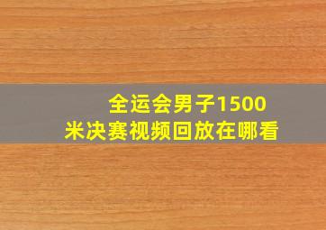 全运会男子1500米决赛视频回放在哪看