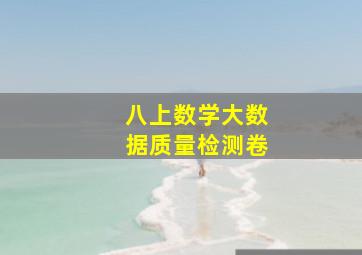 八上数学大数据质量检测卷