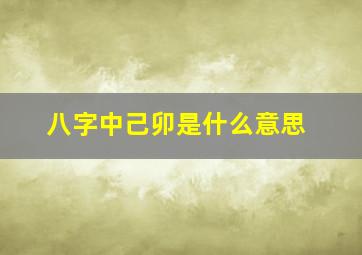 八字中己卯是什么意思