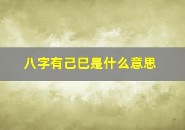 八字有己巳是什么意思