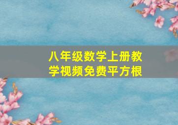 八年级数学上册教学视频免费平方根