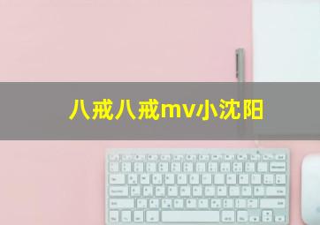 八戒八戒mv小沈阳