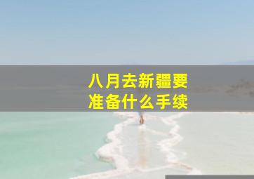 八月去新疆要准备什么手续