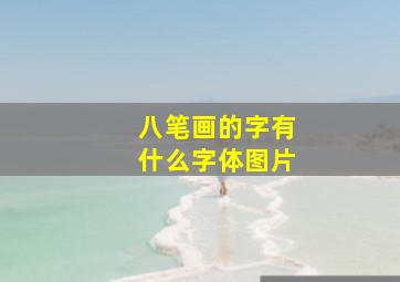 八笔画的字有什么字体图片