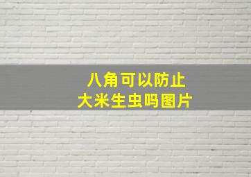 八角可以防止大米生虫吗图片