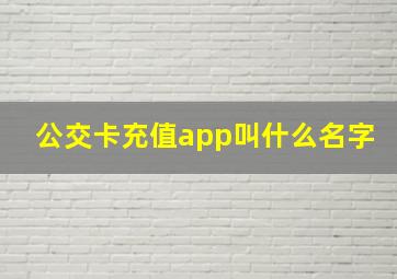 公交卡充值app叫什么名字