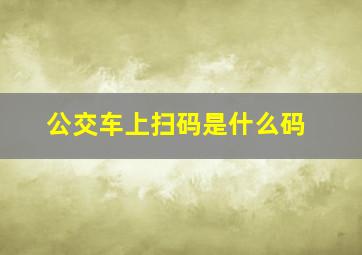 公交车上扫码是什么码