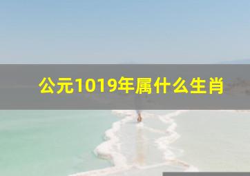 公元1019年属什么生肖