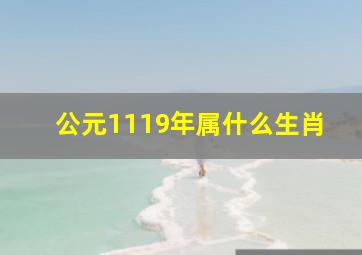 公元1119年属什么生肖