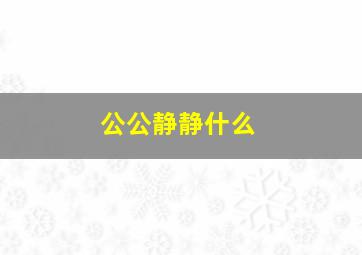 公公静静什么