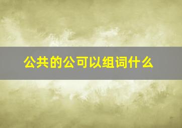 公共的公可以组词什么