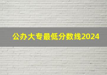 公办大专最低分数线2024