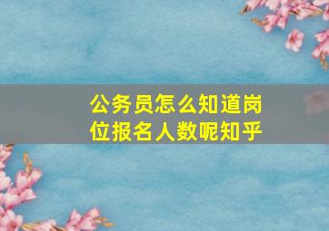 公务员怎么知道岗位报名人数呢知乎