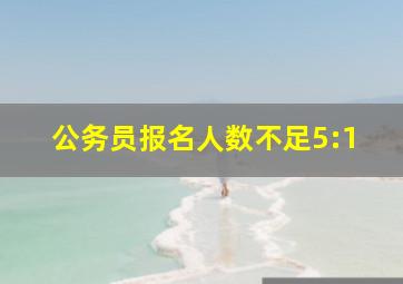 公务员报名人数不足5:1