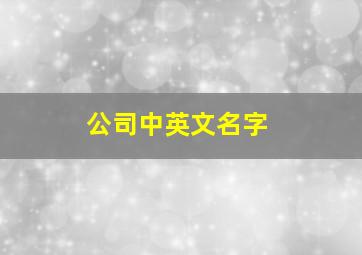 公司中英文名字