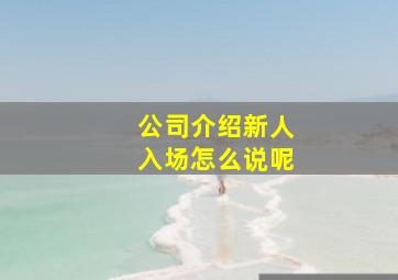 公司介绍新人入场怎么说呢