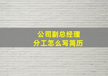 公司副总经理分工怎么写简历