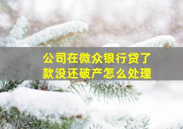 公司在微众银行贷了款没还破产怎么处理