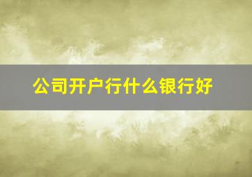 公司开户行什么银行好